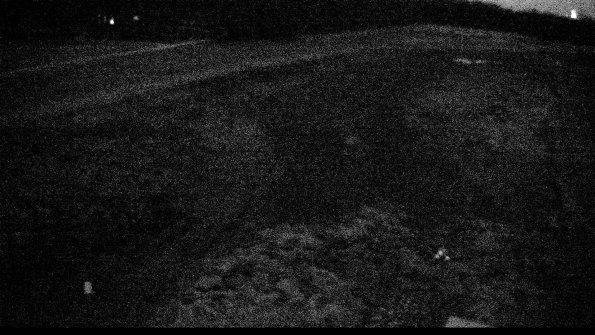 Cell 1-22-04-12_20-46-45-49