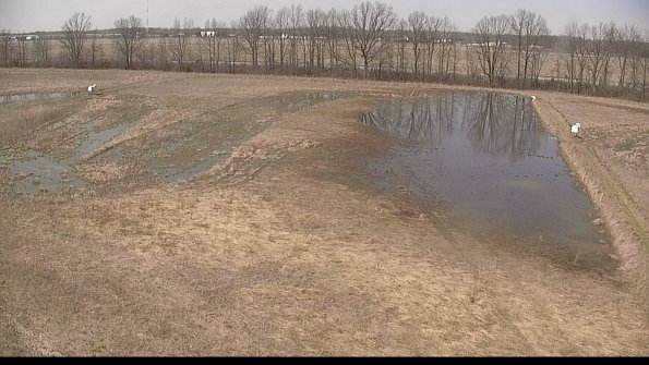 Cell 3-22-04-12_14-34-48-60