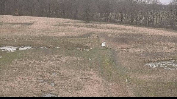 Cell 1 to 2 Monitoring-22-04-13_18-31-53-08