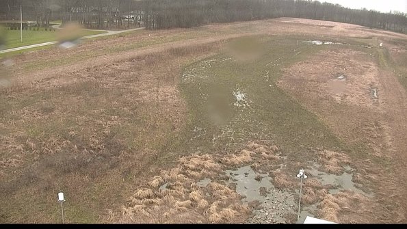 Cell 1-22-04-13_10-47-09-21