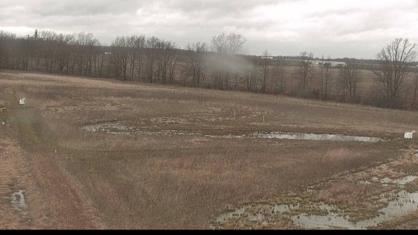 Cell 2-22-04-13_17-29-58-12