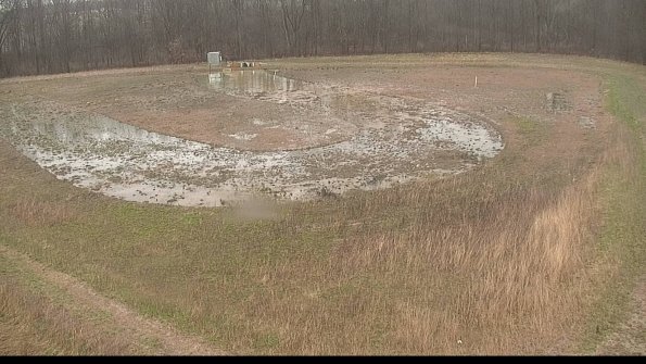 Cell 4-22-04-13_12-20-14-19