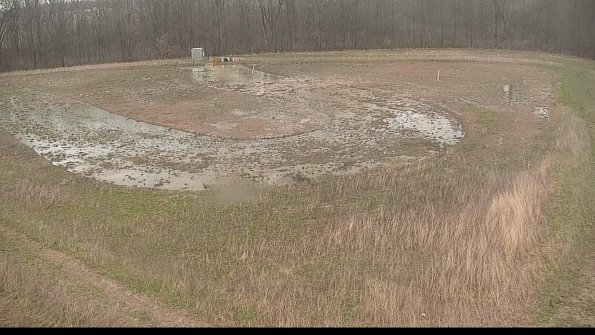 Cell 4-22-04-13_14-24-30-18