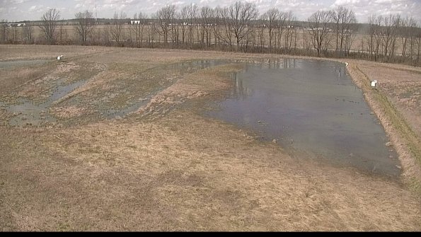 Cell 3-22-04-14_14-13-11-68