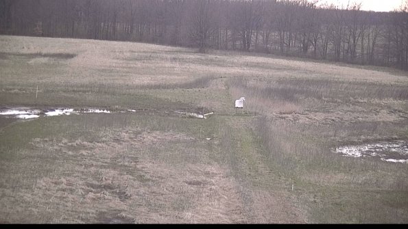 -22-04-16_07-24-30-79