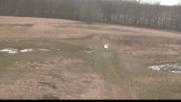 Cell 1 to 2 Monitoring-22-04-16_08-40-10-78