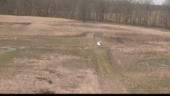 Cell 1 to 2 Monitoring-22-04-16_11-46-35-70