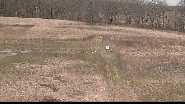 Cell 1 to 2 Monitoring-22-04-16_12-48-43-67