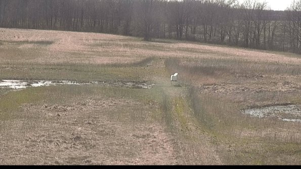 Cell 1 to 2 Monitoring-22-04-16_16-57-16-58