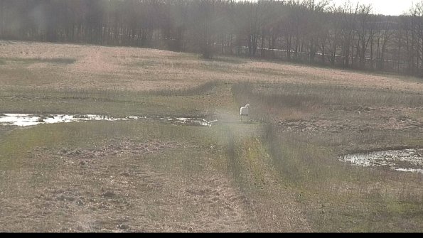 Cell 1 to 2 Monitoring-22-04-16_17-59-26-56