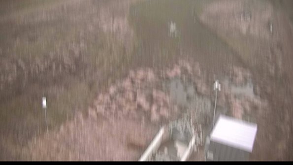 Cell 1-22-04-16_07-37-48-79