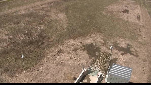 Cell 1-22-04-16_11-46-21-68