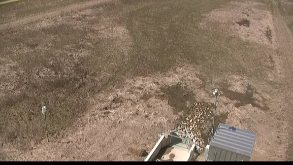 Cell 1-22-04-16_12-48-29-66