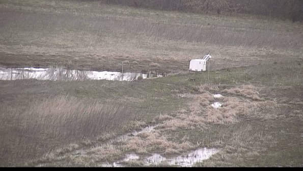 Cell 2 to 3 Monitoring-22-04-16_07-23-56-79