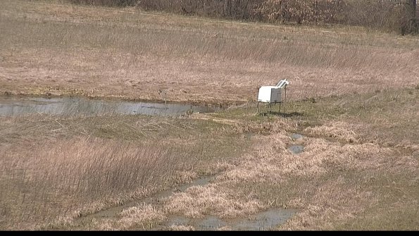 Cell 2 to 3 Monitoring-22-04-16_13-51-18-64