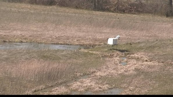 Cell 2 to 3 Monitoring-22-04-16_14-53-26-62