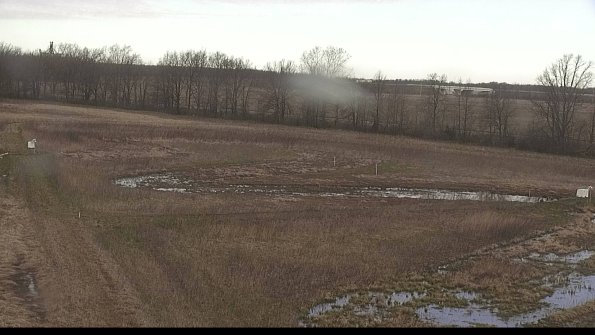 Cell 2-22-04-16_08-40-23-76