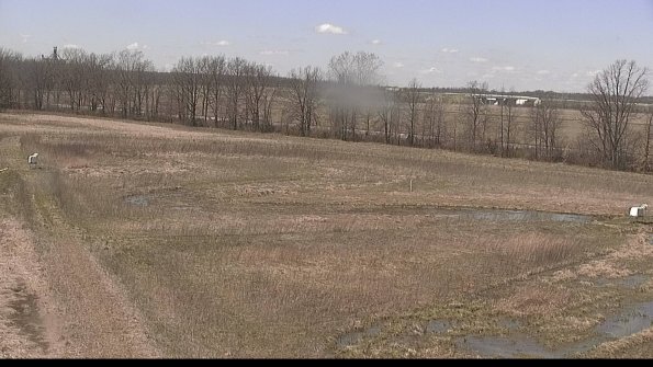 Cell 2-22-04-16_13-51-04-66