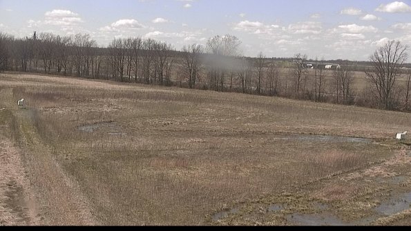 Cell 2-22-04-16_14-53-12-64