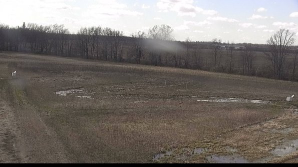 Cell 2-22-04-16_15-55-21-62