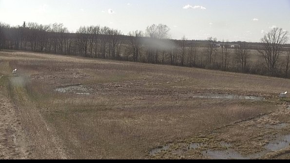 Cell 2-22-04-16_16-57-29-59