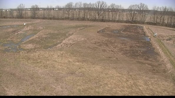 Cell 3-22-04-16_11-47-16-71