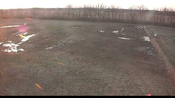 Cell 3-22-04-16_20-04-23-55