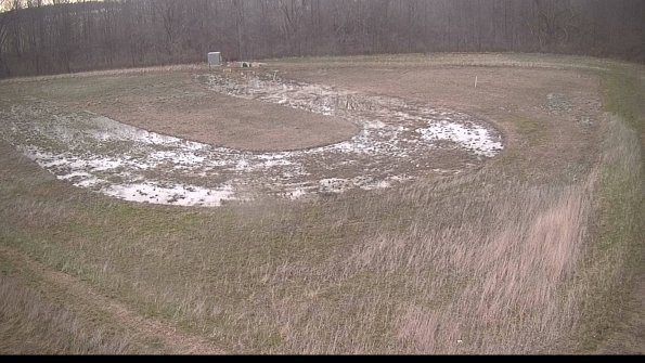 Cell 4-22-04-16_07-39-11-77