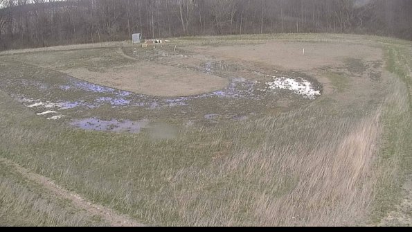 Cell 4-22-04-16_15-56-17-61