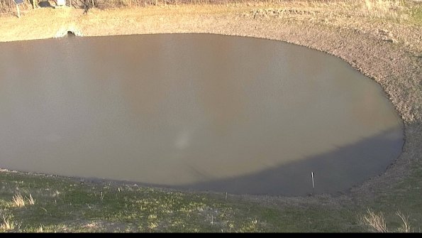 Settling basin-22-04-16_19-01-06-54