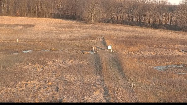 Cell 1 to 2 Monitoring-22-04-17_07-27-20-20