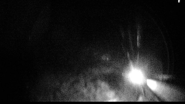 Cell 1-22-04-17_22-59-15-85