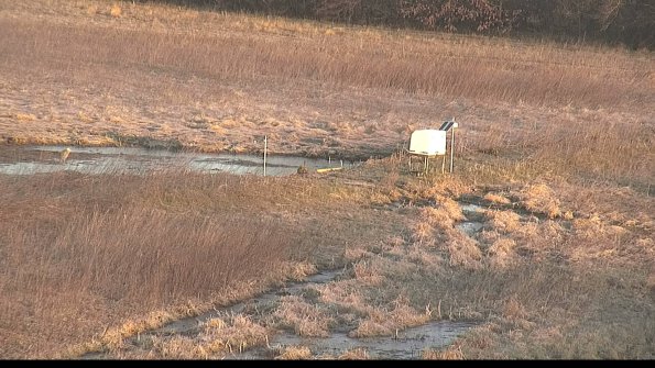 Cell 2 to 3 Monitoring-22-04-17_07-27-47-19