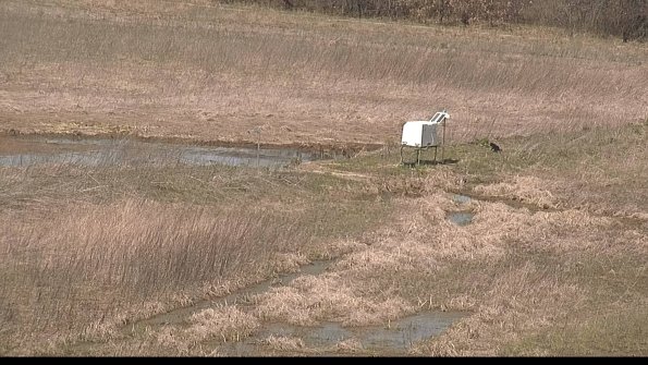 Cell 2 to 3 Monitoring-22-04-17_12-38-30-09