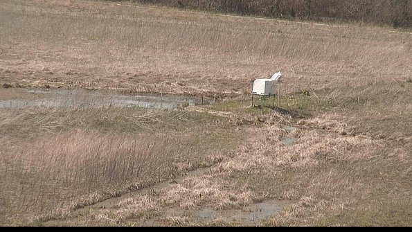 Cell 2 to 3 Monitoring-22-04-17_15-44-56-02