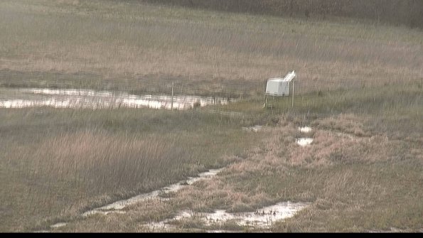 Cell 2 to 3 Monitoring-22-04-17_18-51-21-95