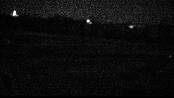 Cell 2-22-04-17_00-12-31-43