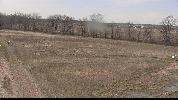 Cell 2-22-04-17_14-42-34-03