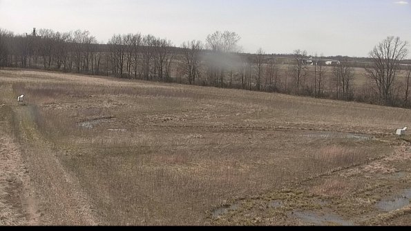 Cell 2-22-04-17_15-44-43-01