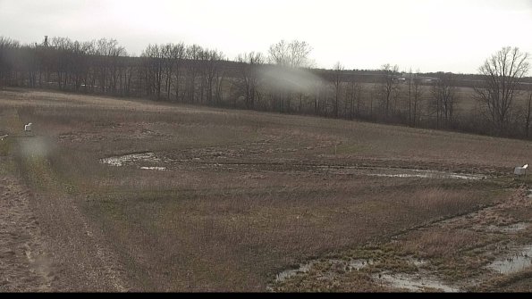 Cell 2-22-04-17_17-48-58-99