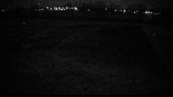 Cell 3-22-04-17_00-13-00-42