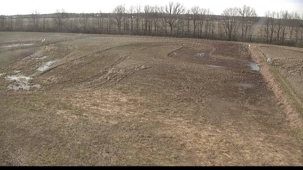 Cell 3-22-04-17_17-49-27-99