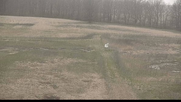 Cell 1 to 2 Monitoring-22-04-18_10-23-05-52