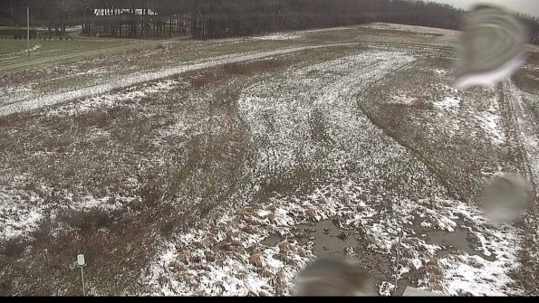 Cell 1-22-04-18_13-29-16-45