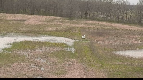 capture-12-22-05-01_15-33-29-28