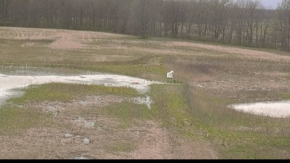 capture-12-22-05-01_17-38-09-30