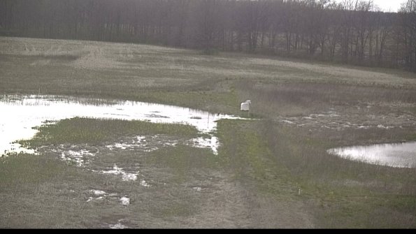 capture-12-22-05-01_19-42-50-41