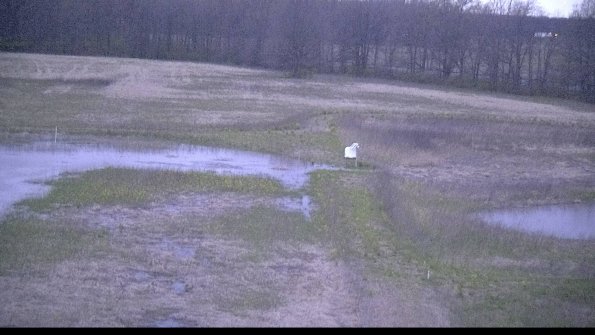 capture-12-22-05-01_20-45-10-33