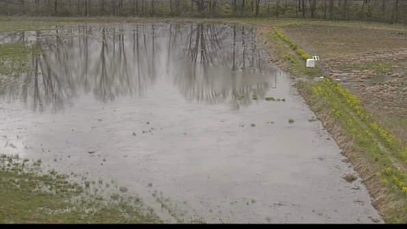 capture-14-22-05-03_19-31-33-38