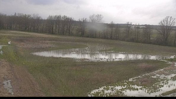 capture-4-22-05-03_19-30-50-50